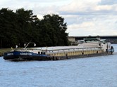22.10.2023 mit mehr "Grün"