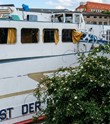dem Vandalismus preisgegeben