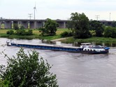 03.06.2024 auf der Elbe