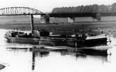 Eildampfer Anklam (Bauname Catharine Bertling) auf der Elbe bei Torgau